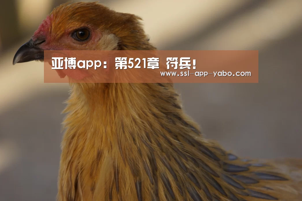 亚博app